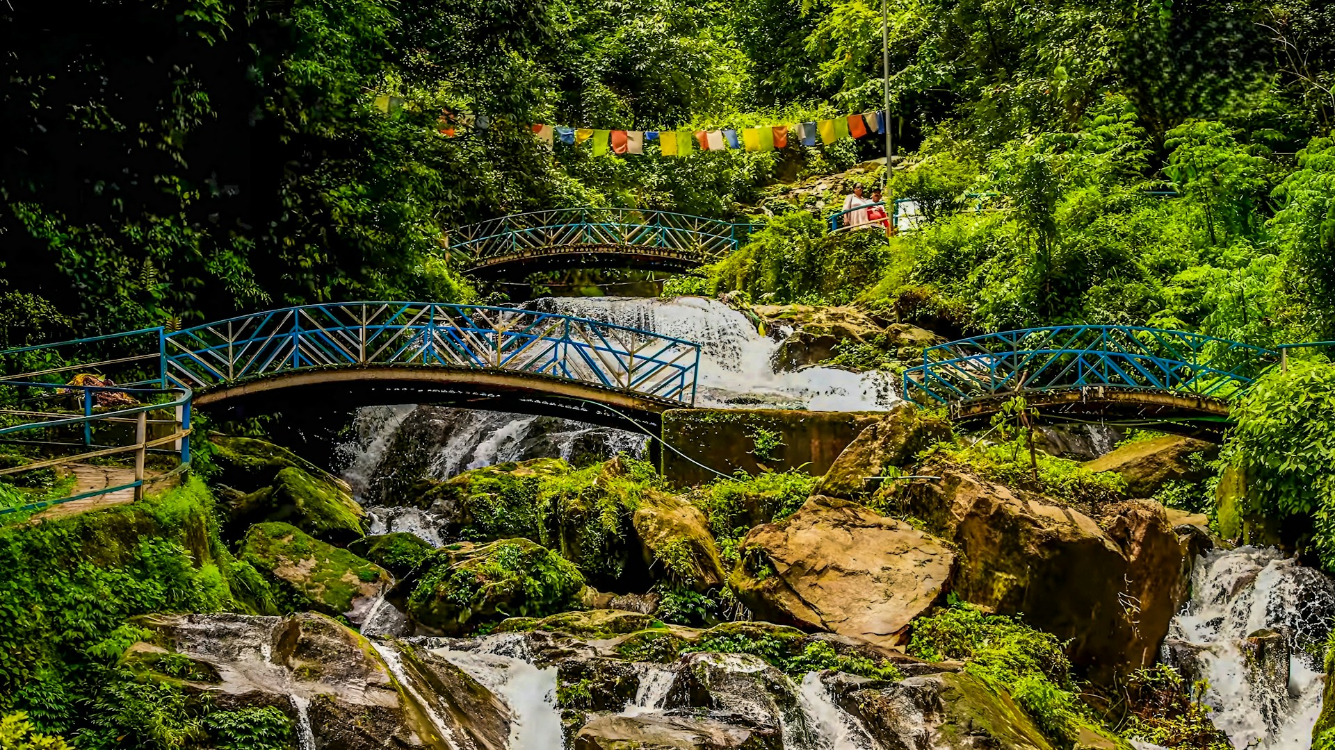 Rock Garden Darjeeling travel guide