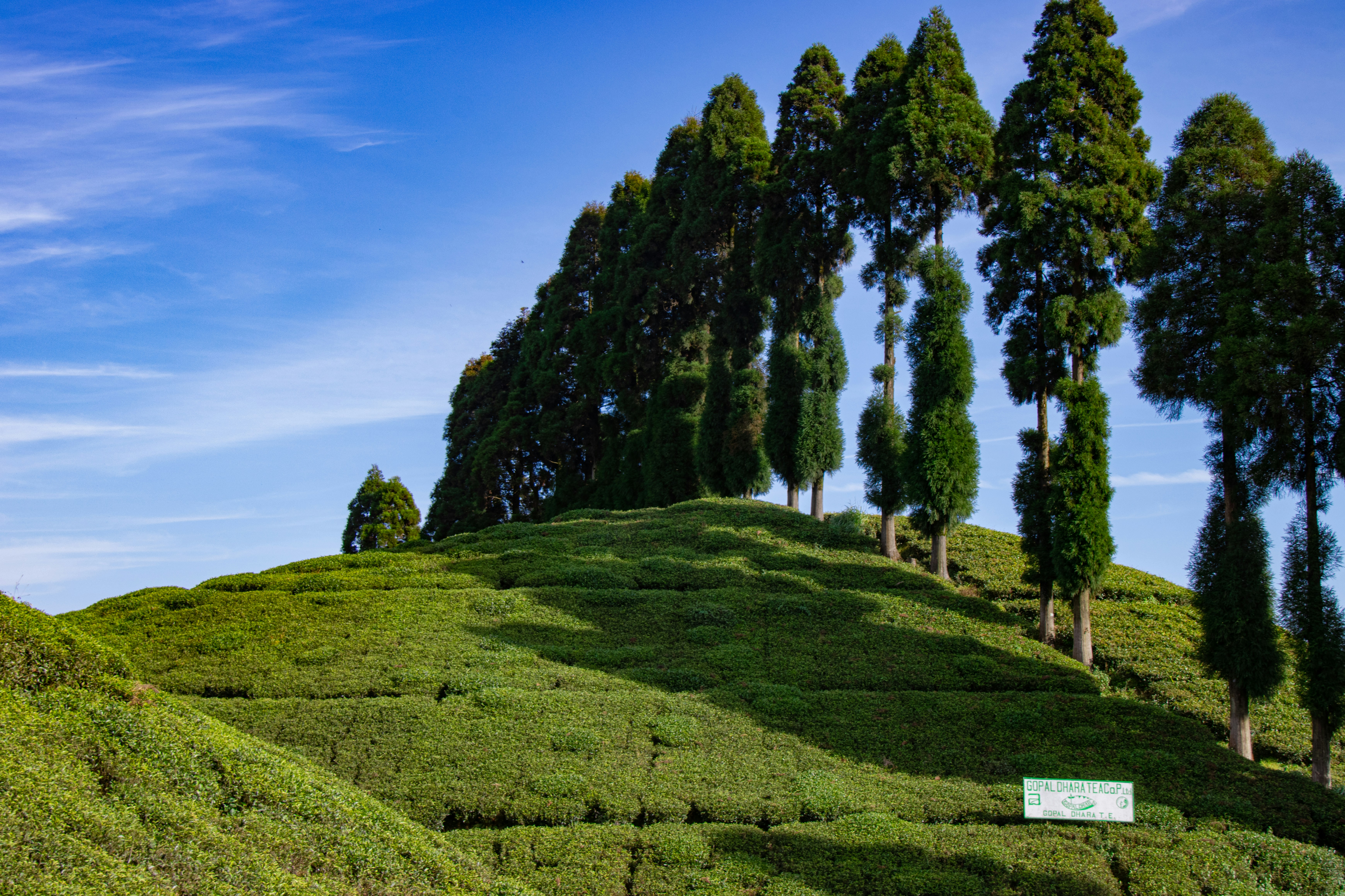 Darjeeling 3-day itinerary